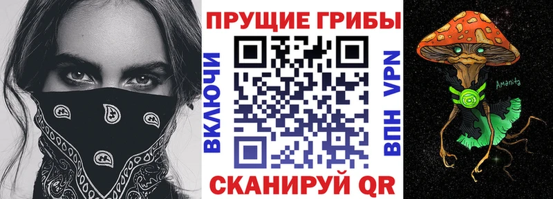 Галлюциногенные грибы Psilocybe  гидра ТОР  Тайшет  купить наркоту 